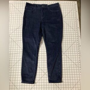 NWT Cosmic Blue Love by Pistola Size 31 Navy Corduroy Jeans